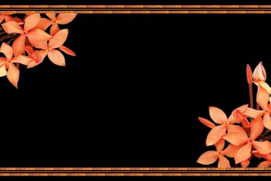 Flower Frame Wallpapers   Wallpapers HD Wide