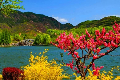 High Quality Desktop Wallpapers