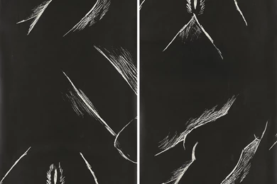 Index Of /collection/Artists/Robert Gober