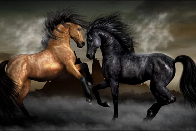 3d Horse Wallpapers Free Download Wallpapers