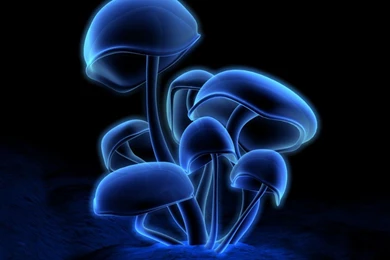 Peartreedesigns: 3D Wallpapers   Exclusive Free 3D Backgrounds ...