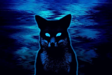 Fox Backgrounds   Checker The Fox By Lunar Neon On DeviantArt