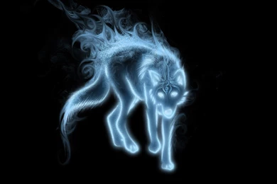 Origami Fox On Blue Paper Backgrounds Photo