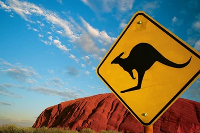 Australia Caution Kangaroos Signs Wallpapers