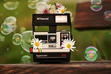 Flowers On Polaroid Camera Wallpapers And Images   Wallpapers ...