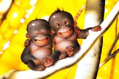 Funny Monkey, 1920x1080 HD Wallpapers And FREE Stock Photo