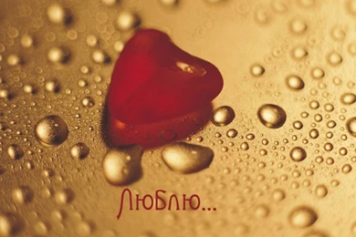 HFS /_PIC/Pic Download/02/