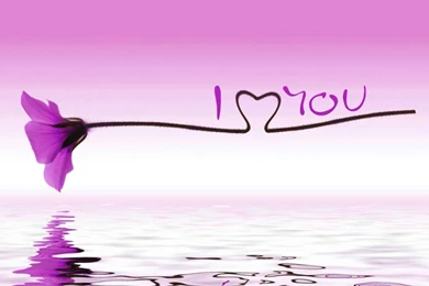 Water Reflection I Love You Wallpapers   1043x768   90541