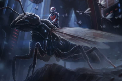 Download Ant Man Wallpapers Mobile LQ92