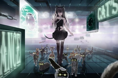 Neko Girl And Neko Squad   (