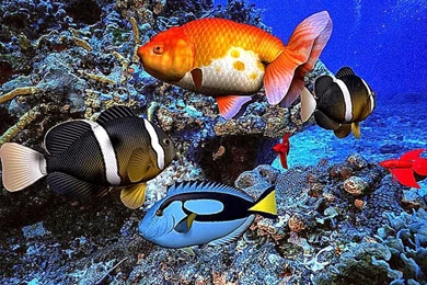 3D Desktop Wallpapers Screensavers