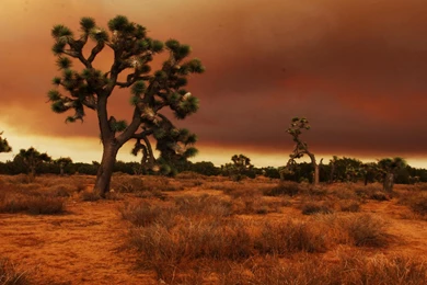 Mojave Desert Over The Boundries Of California Nevada Arizona Utah ...