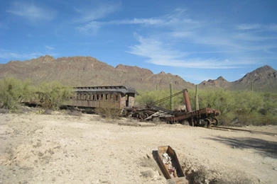 Arizona Cactus Cactus Hill – Nature Deserts HD Desktop Wallpapers