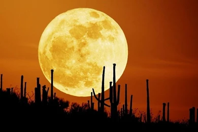 Share Your Wallpapers Page 3