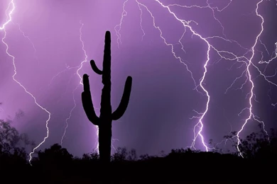 Nature: Desert Storm, Tucson, Arizona, Picture Nr. 47116