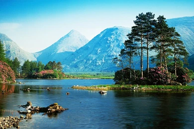 Landscape, View, Flowers, Cute Desktop Images, Nature Backgrounds ...