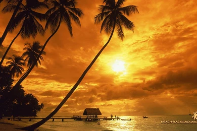 Beach Sunset Wallpaper.jpg