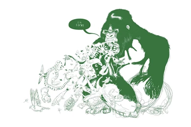 86 Gorilla HD Wallpapers