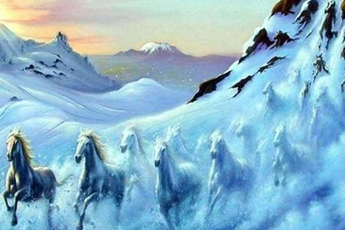 Horse Live Wallpapers   Wallpapers Zone