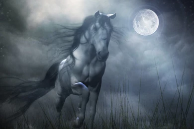 Free Download Live Wallpapers 18838 HD Wallpapers