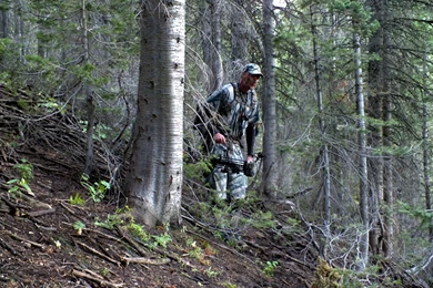 The DIY Hunter   Mossy Oak TreeStand Camouflage Photos Archery Elk ...