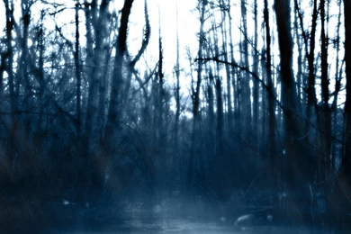 Dying World Wallpapers From Dark Wallpapers