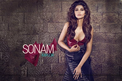 14 Hot Sonam Kapoor HD Desktop Wallpapers 2016