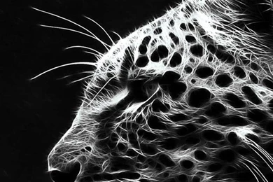 Iphone Tiger Wallpapers Animal Backgrounds 162