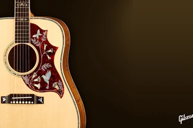 Vintage Acoustic Guitar Wallpapers