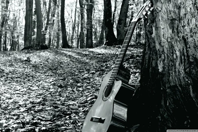 Forrest Guitar HD Desktop Wallpapers : Widescreen : High Definition ...