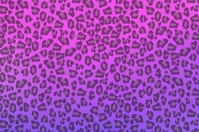 Iphone Wallpapers Tumblr Image E5O » WALLPAPERUN.COM