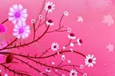 Pretty Wallpapers 5a5   HD Wallpapers