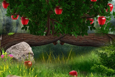 RED APPLE TREE WALLPAPER   (