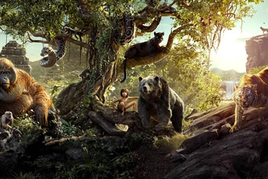 2016 The Jungle Book HD Desktop Wallpapers