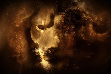 Lion Art Desktop Wallpapers
