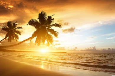 Amazing HD Desktop Wallpapers : High Definition : Fullscreen ...