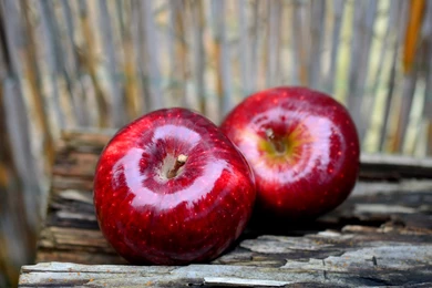 Fruits Red Apples Uhd Wallpapers   Ultra High Definition ...