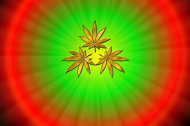 Rasta Computer Wallpapers, Desktop Backgrounds