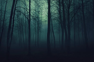 13 Wallpapers I've Collected During My Dark Times.   Album On Imgur