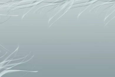 Login Goto Settings Design Change Backgrounds Image