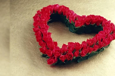 Rose Desktop Wallpapers   Wallpapers Cave