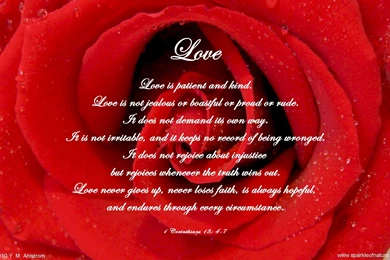 Love Sparkle Red Rose : Full HD Desktop Wallpapers : Wallinda