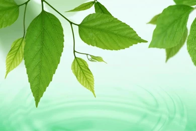 Latest Desktop HD Wallpapers   Live Wallpapers HD Desktop Wallpapers