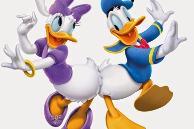 Disney HD Wallpapers: Daisy And Donald Duck HD Wallpapers