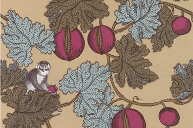 Cole & Son Wallpapers Fornasetti Frutto Proibito 77/12044 ...