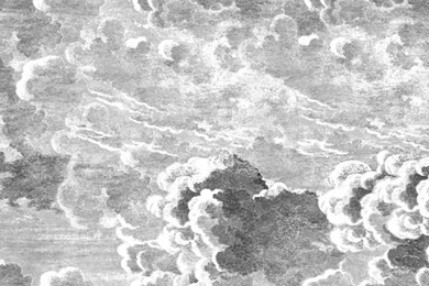 Cole & Son Wallpapers Australia