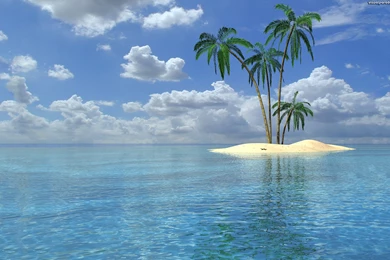 Wallpapers Palm Trees 3D Beach Wallpapers Desktop