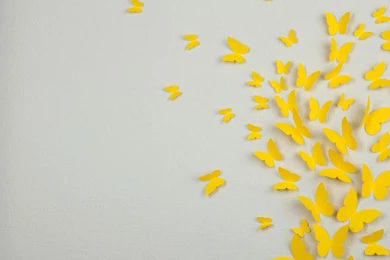 White And Yellow Wallpapers   HD Wallpapers Pretty