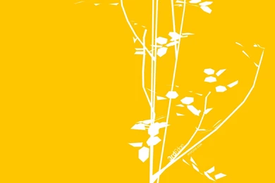 White Branch Wallpapers