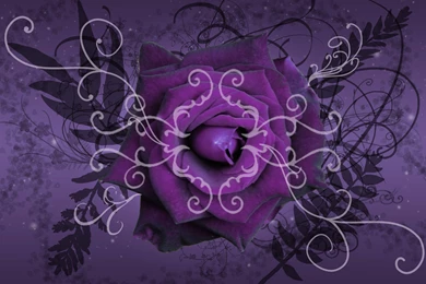Purple Wallpapers For Desktop   Wallpapers Cave